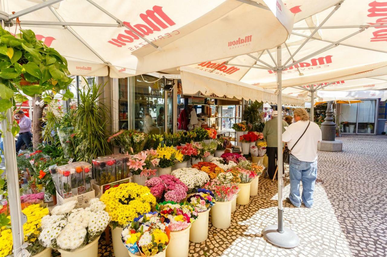 Casa Patio Del Mentidero Apartment Cadiz Ngoại thất bức ảnh